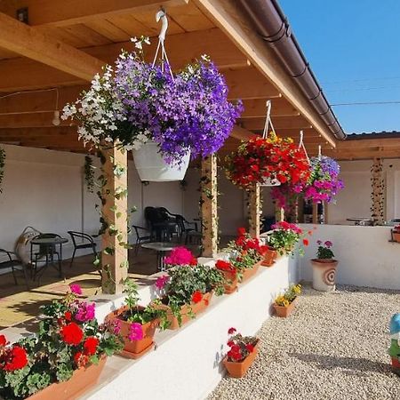 Appartement Soliday à Vama Veche Extérieur photo