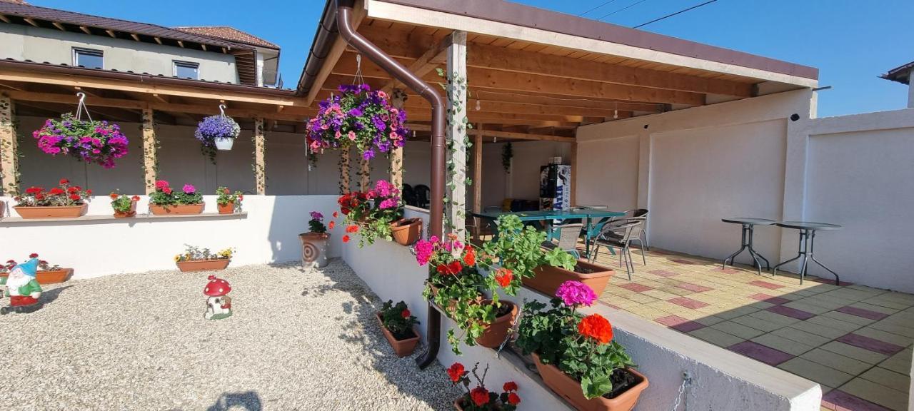 Appartement Soliday à Vama Veche Extérieur photo